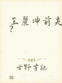 王丽坤前夫是谁?