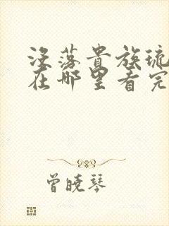 没落贵族琉璃川在哪里看完整版