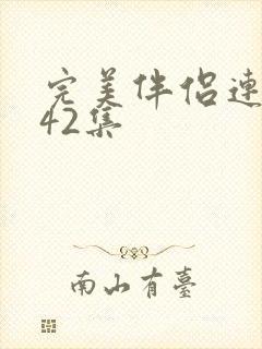 完美伴侣连续剧42集