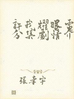 许我耀眼电视剧分集剧情介绍