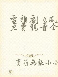 电视剧《风筝》免费观看全集高清