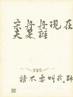 宋丹丹现在的丈夫是谁