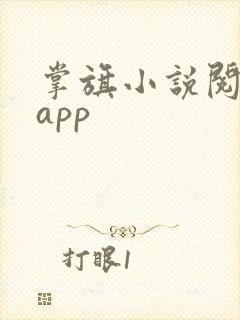 掌旗小说阅读器app