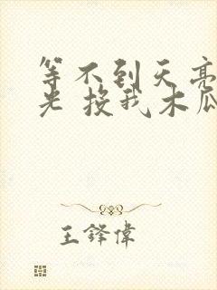 等不到天亮等时光 投我木瓜 小说封面