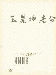 王丽坤老公
