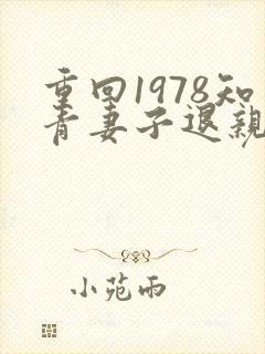 重回1978知青妻子退亲小说叫什么