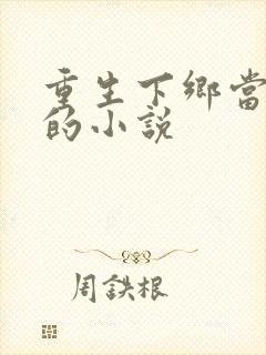 重生下乡当知青的小说