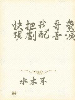 快把我哥带走电视剧配音演员