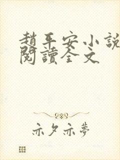 赵平安小说免费阅读全文