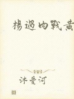杨过肉战黄蓉
