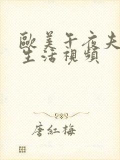欧美午夜夫妻性生活视频