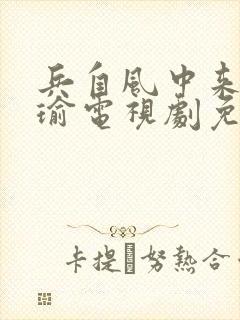兵自风中来黄景瑜电视剧免费观看