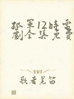 孤军12时电视剧全集免费播放高清封面