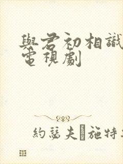 与君初相识免费电视剧