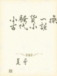 小骚货～操死你古代小说