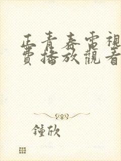 正青春电视剧免费播放观看