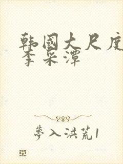 韩国大尺度电影李采潭封面