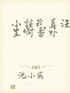 小说我真没想重生啊番外