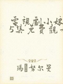 电视剧小娘惹45集免费观看大结局
