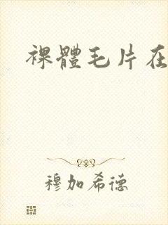 裸体毛片在线封面