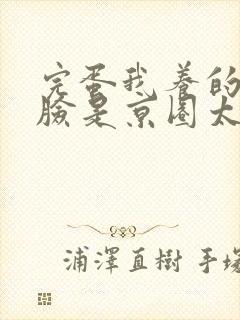 完蛋我养的小白脸是京圈太子爷全文