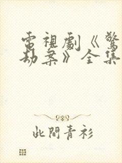 电视剧《惊天大劫案》全集免费观看