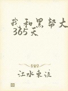 我和黑帮大佬的 365天