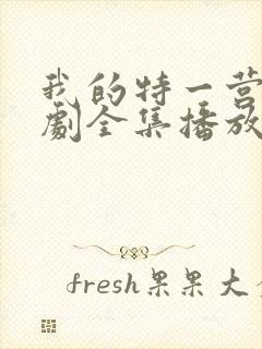 我的特一营电视剧全集播放