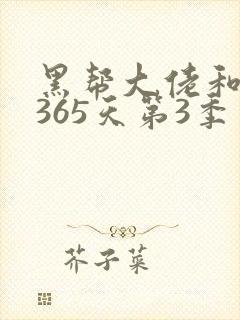 黑帮大佬和我的365天第3季