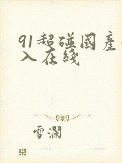 91超碰国产后入在线