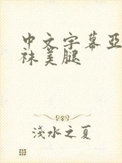 中文字幕亚洲丝袜美腿封面