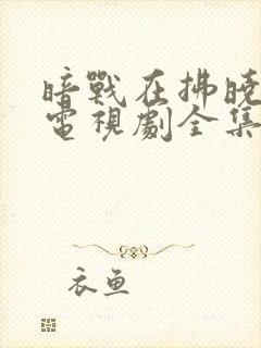 暗战在拂晓之前电视剧全集