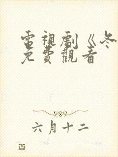 电视剧《冬至》免费观看