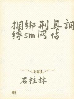 捆绑刑具调教束缚sm网站