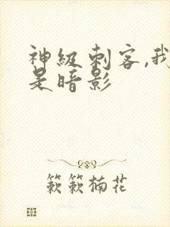 神级刺客,我即是暗影封面
