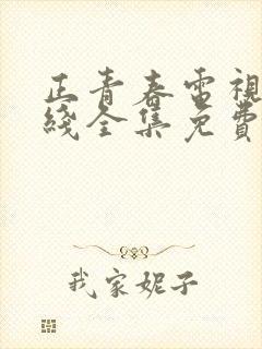 正青春电视剧在线全集免费