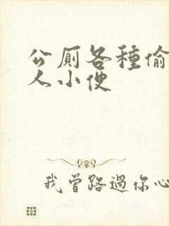 公厕各种偷拍女人小便封面
