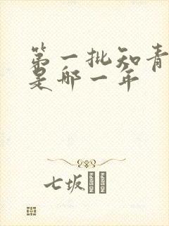 第一批知青下乡是哪一年