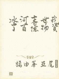 冰河末世我囤积了百亿物资全文封面