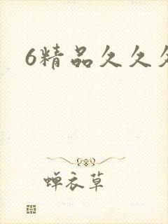 6精品久久久