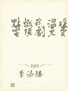 点燃我温暖你 电视剧免费看封面