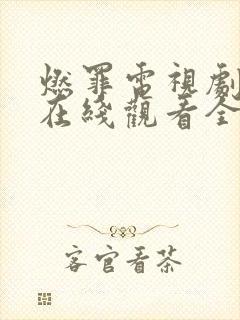 燃罪电视剧免费在线观看全集