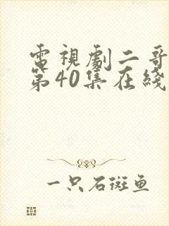 电视剧二哥二嫂第40集在线看封面