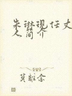 朱琳现任丈夫个人简介