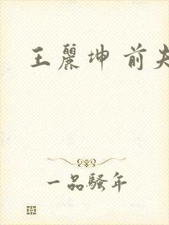 王丽坤 前夫
