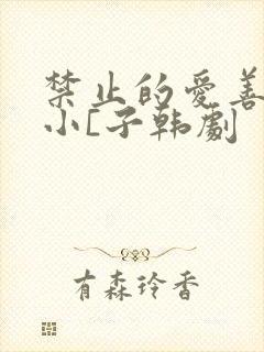 禁止的爱善良的小[子韩剧