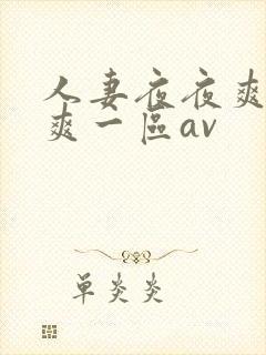 人妻夜夜爽天天爽一区av