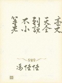 等不到天亮等时光小说全文免费阅读
