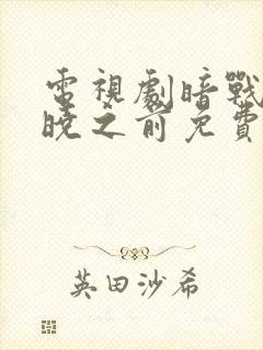电视剧暗战在拂晓之前免费观看