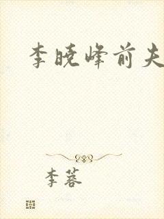李晓峰前夫是谁封面